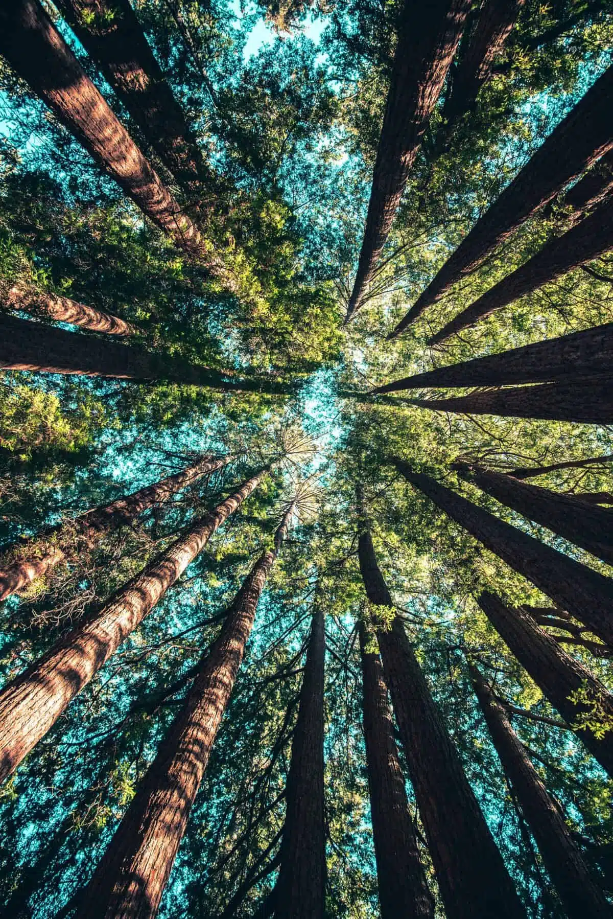 Hvad skal du tænke på, når du skal afholde dit teambuilding-arrangment?