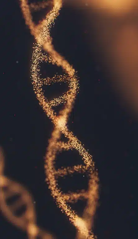 Team Development: Discover Your TEAM DNA