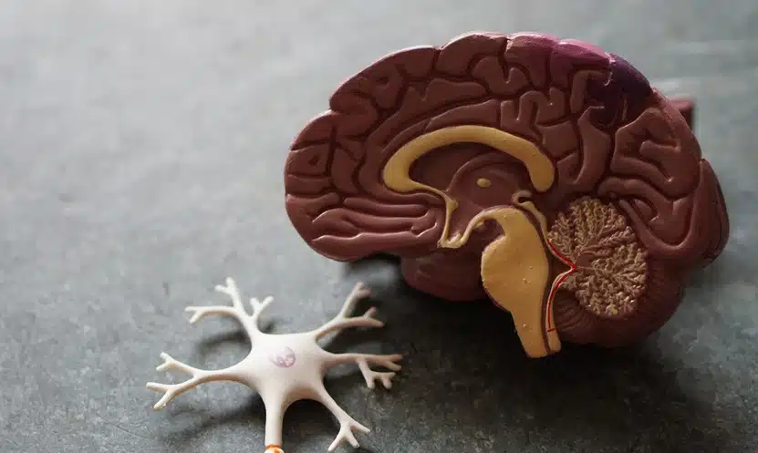 Biohacks for et bedre arbejdsliv
